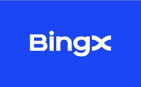 Bing X